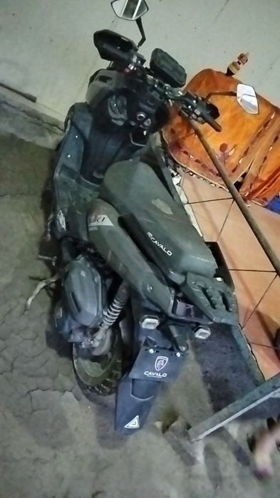 yahshi holattadagi skutur