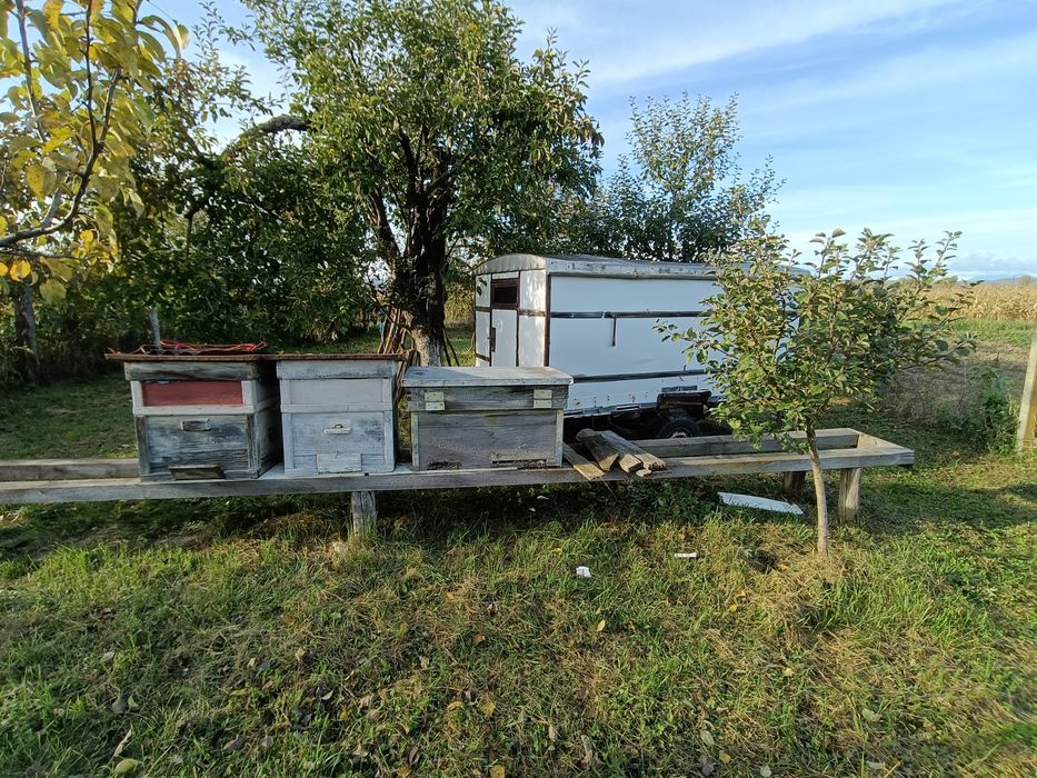 Pavilion Apicol - 10 stupi / 12 Rame