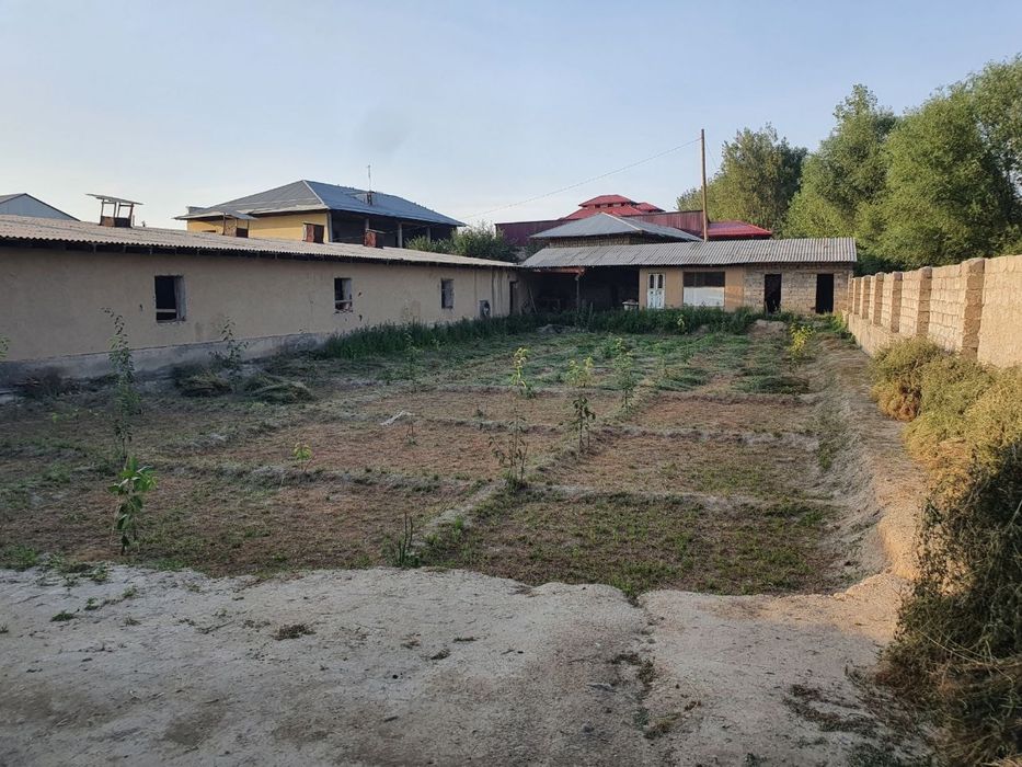 Molxona , ferma sotiladi