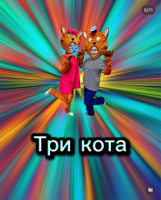 Аниматоры, костюмы