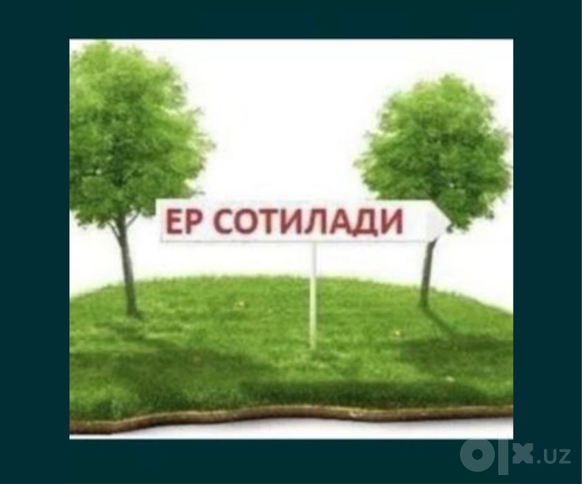 Kirov Olmazor kocha Yer sotiladi 4 sotih