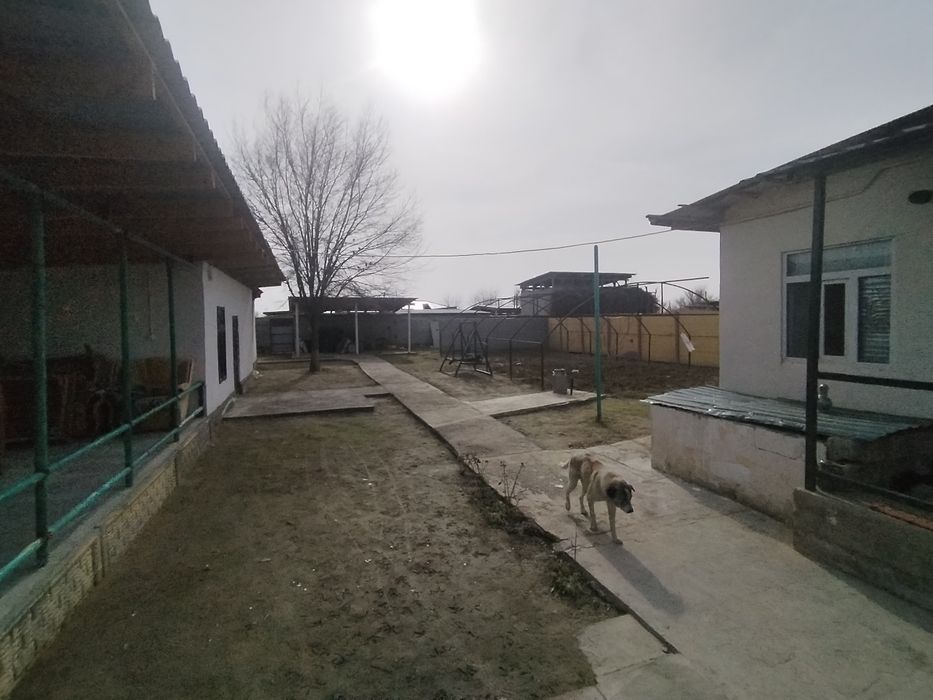 Hovlili Uy sotiladi 8 sotix.