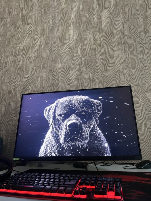 Игровой монитор LG ULTRAGEAR 240 hz гц