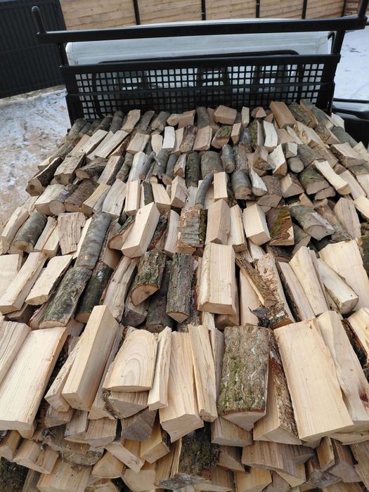 Vând lemne de fag esență tare  verzi uscate !!!