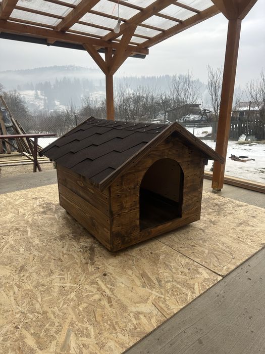 Cusca caine – talie MICĂ / MEDIE / MARE