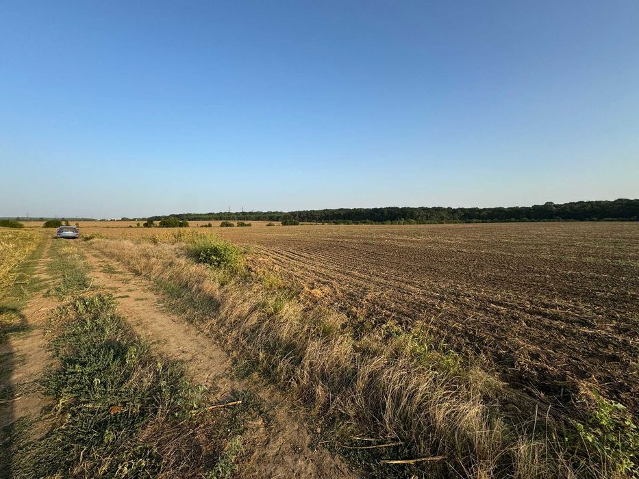 Vânzare teren extravilan arabil - Tâncăbești, comuna Snagov