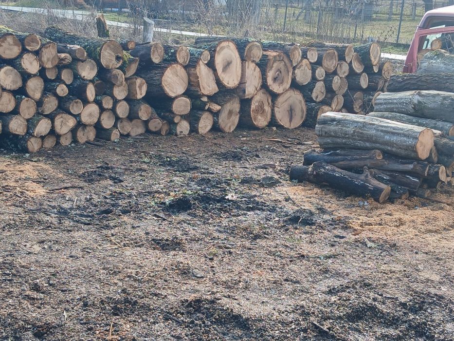 Lemne de foc esente tari