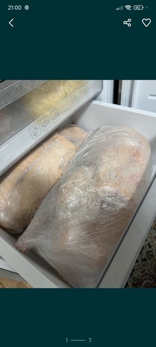 Домашние гуси вкусные