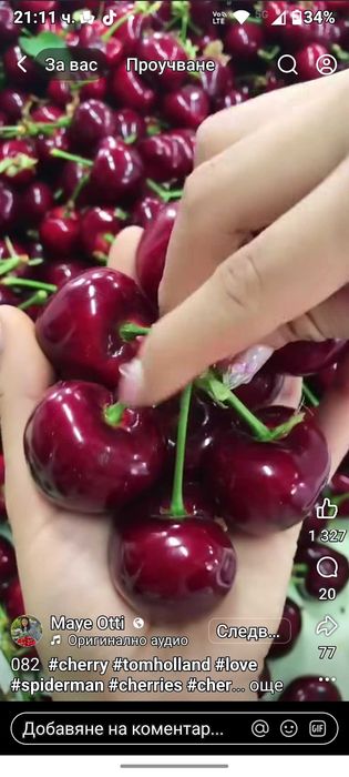 Продава се Земеделски имот в с. Виноградец, Област Пазарджик -  кв.м за 1913 €/дка - Снимка #3