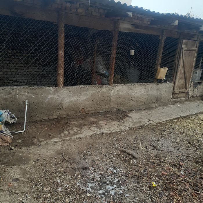 Феруз кошесинде жай сатилади.