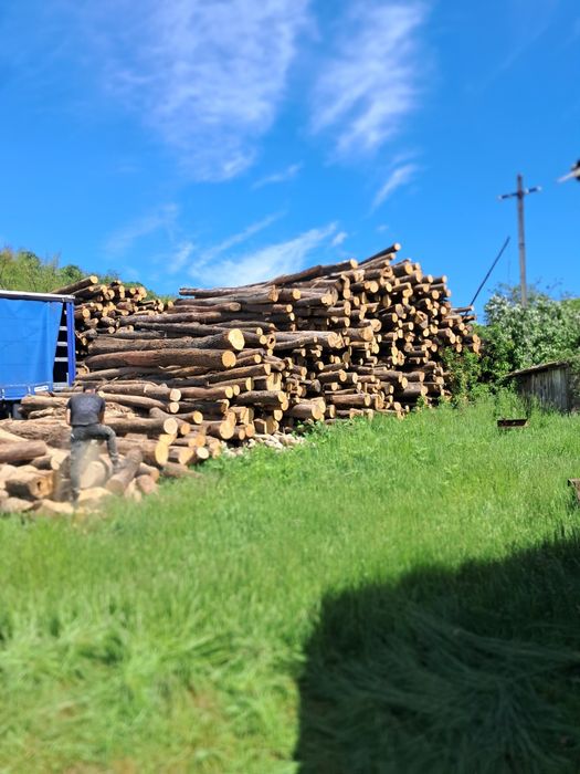 De vânzare lemn de foc stejar uscat!