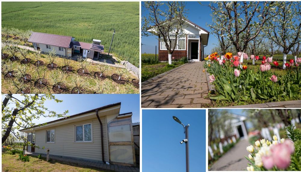 Teren si Casa de vacanță / Livada de pruni / Tufeni - OLT