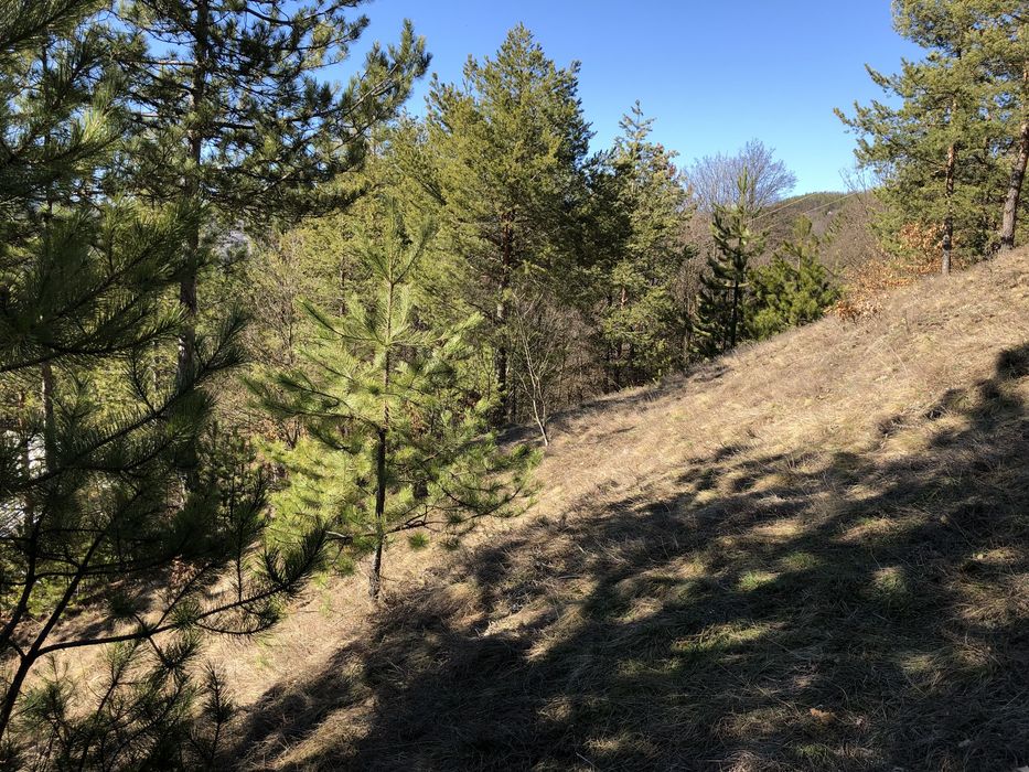 Продава се Парцел в с. Луково, Област София-област - 840 кв.м за 28 €/кв.м - Снимка #4