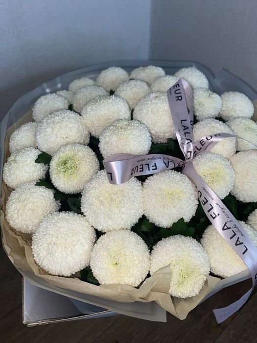 белый помпон хризантема