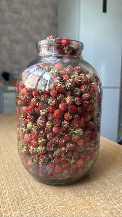 Продам землянику свежую