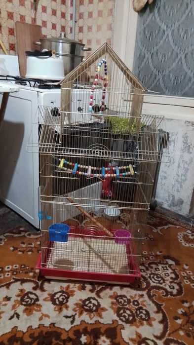 Клетка для попугаев