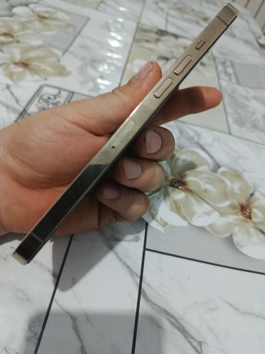 iPhone 12 Pro Max Gold 256Gb