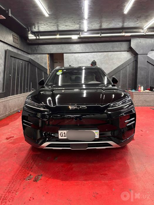 Byd chempion 2024 tozza