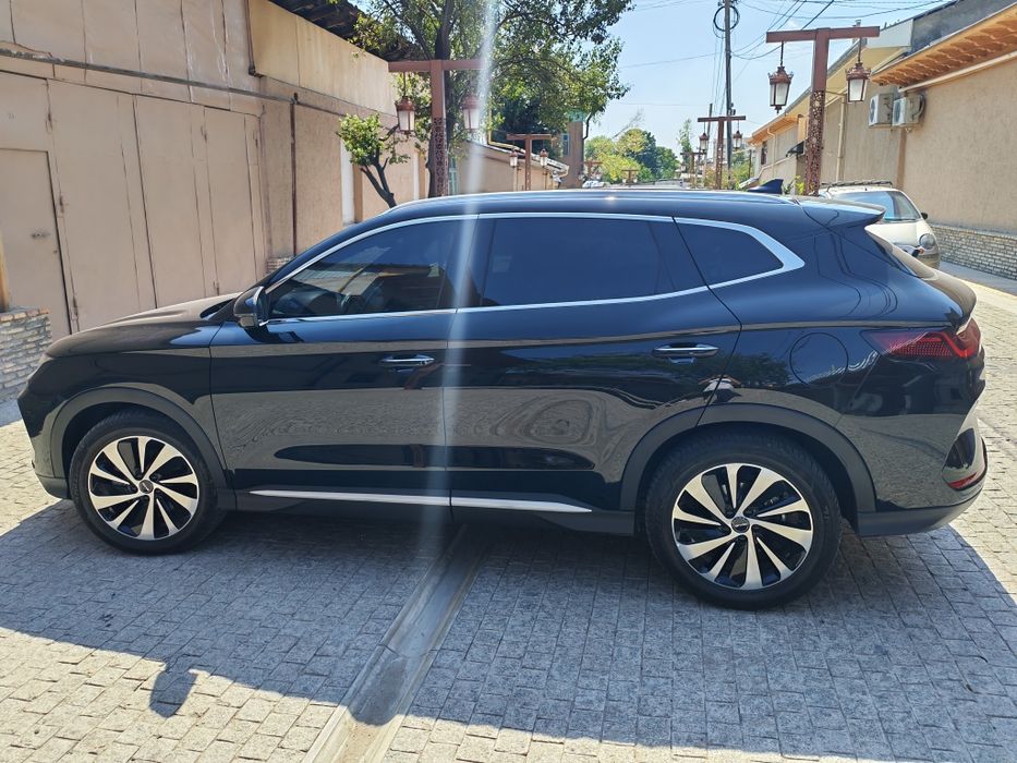 Chempiyon gbrit 150 tali