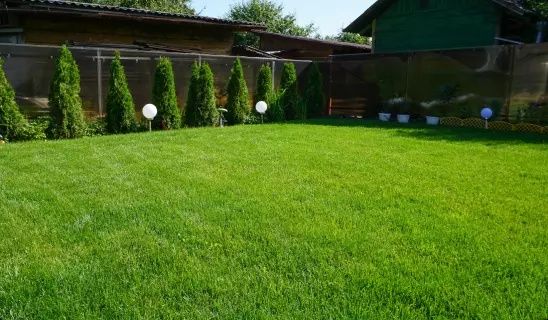 Спортивный газон в петропавловске