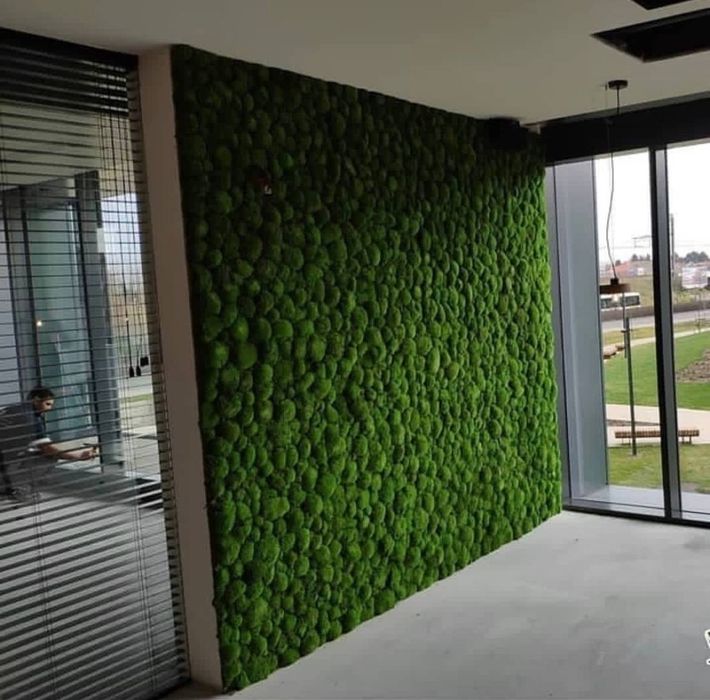 Панно из стабилизированного  мха