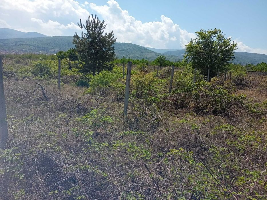 Продава се Земеделски имот в с. Брестник, Област Пловдив -  кв.м за 27000 €/дка - Снимка #5