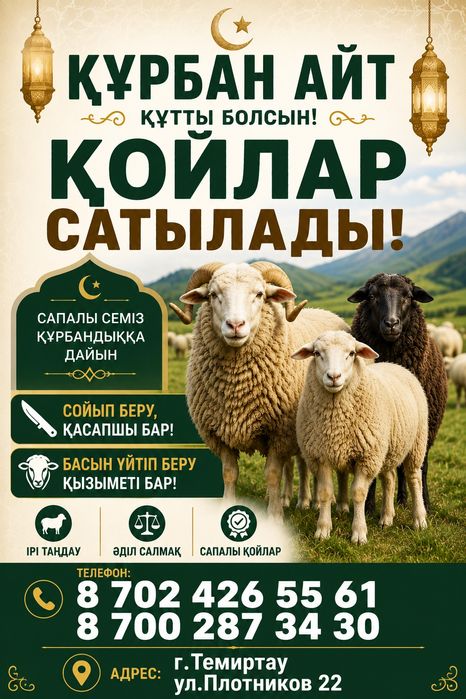 Қой қошқар бараны құрбандыққа