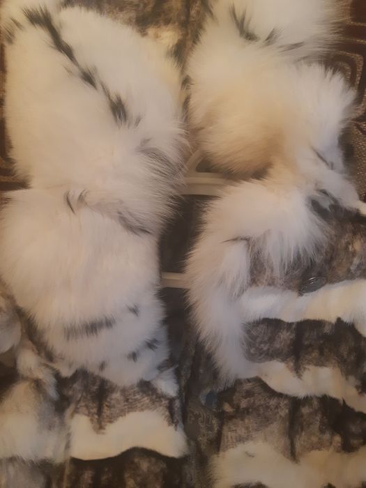 Новый  полушубок.  Кролик.