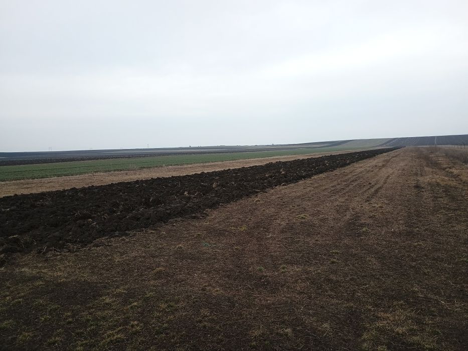 Vând Teren Extravilan