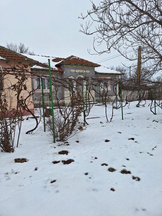 Vand casa Localitatea Horia , Constanta