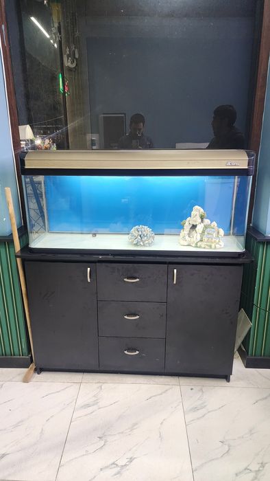 Akvarium Sun Sun 270 litr Аквариум 270 литр авалное