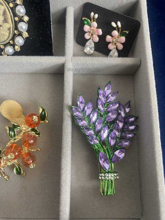 Брошки, различни видове