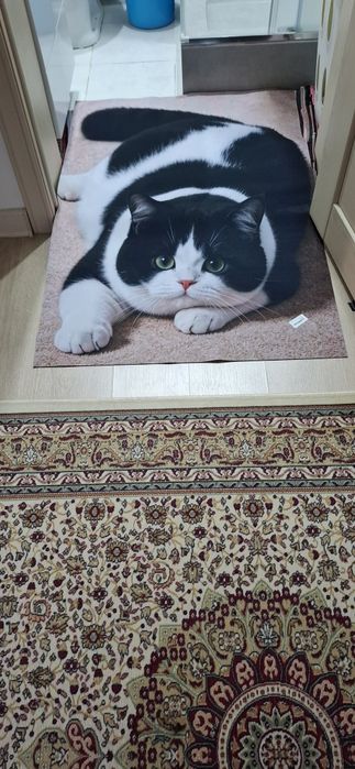 Продам коврик кошка новый.