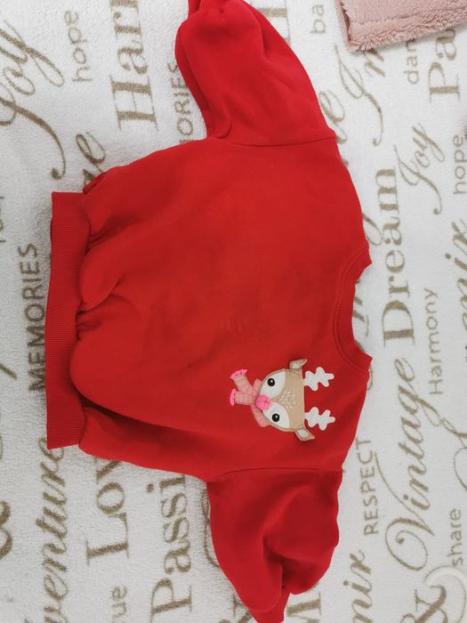 Cojocel 74 -primavara