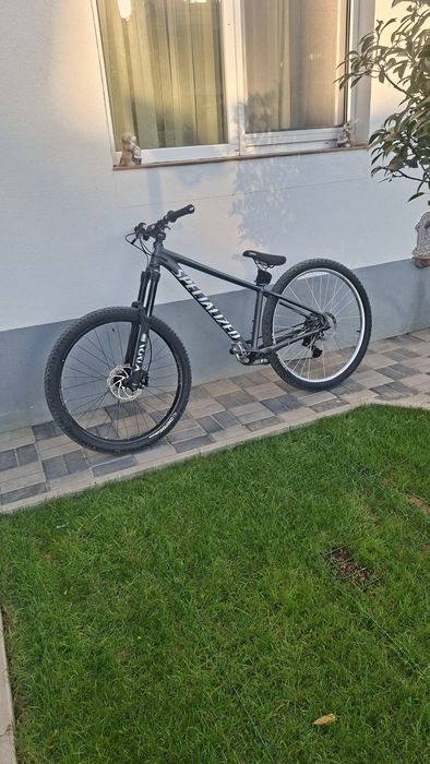 Cadru specialized