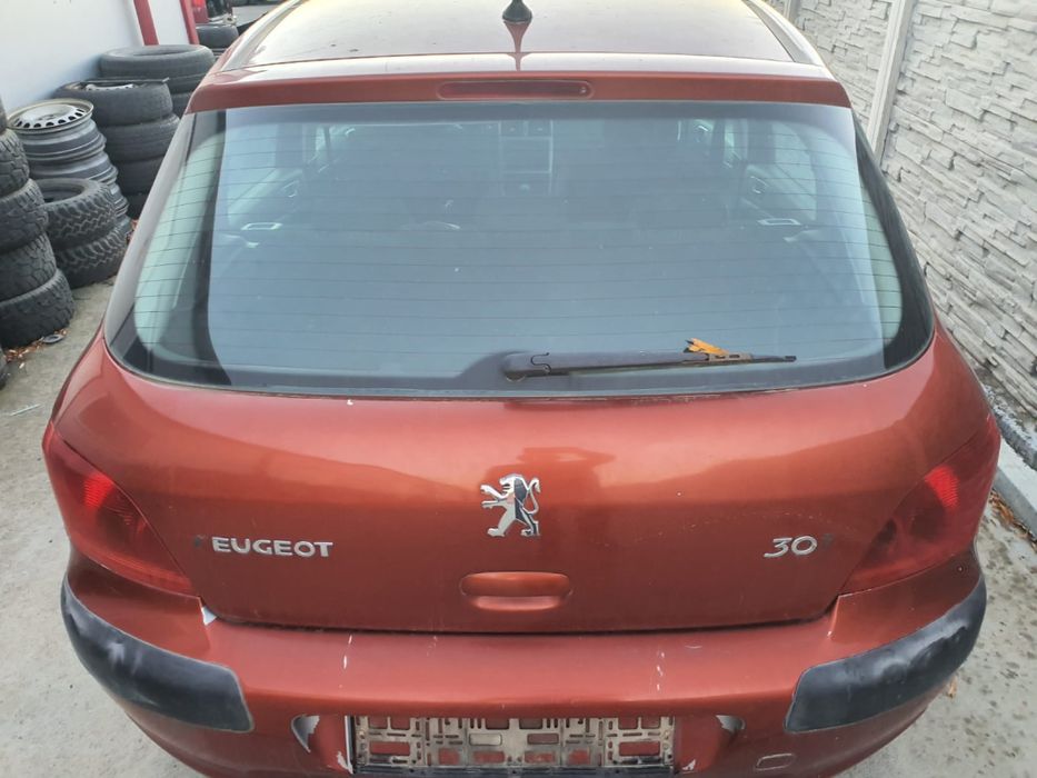 Haion Peugeot 307 Hatchback