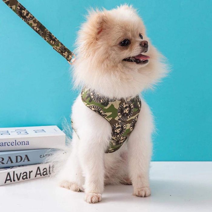 Дрехи за домашни любимци