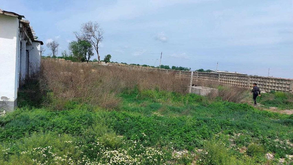 Chorvachilik fermasi