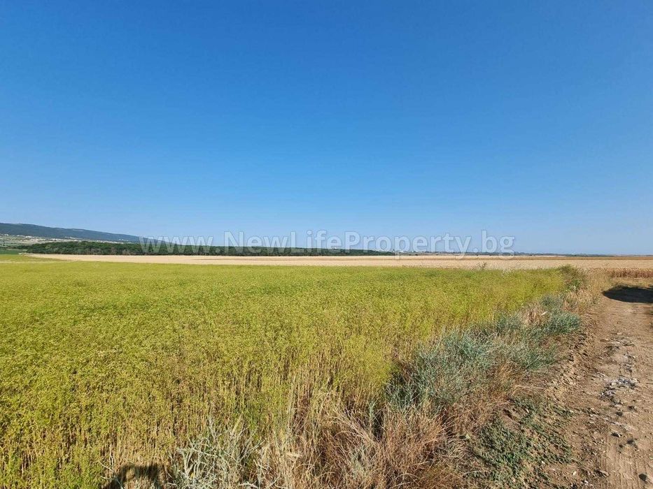 Земеделски парцел в м. Дренака, с. Тънково, обл. Бургас