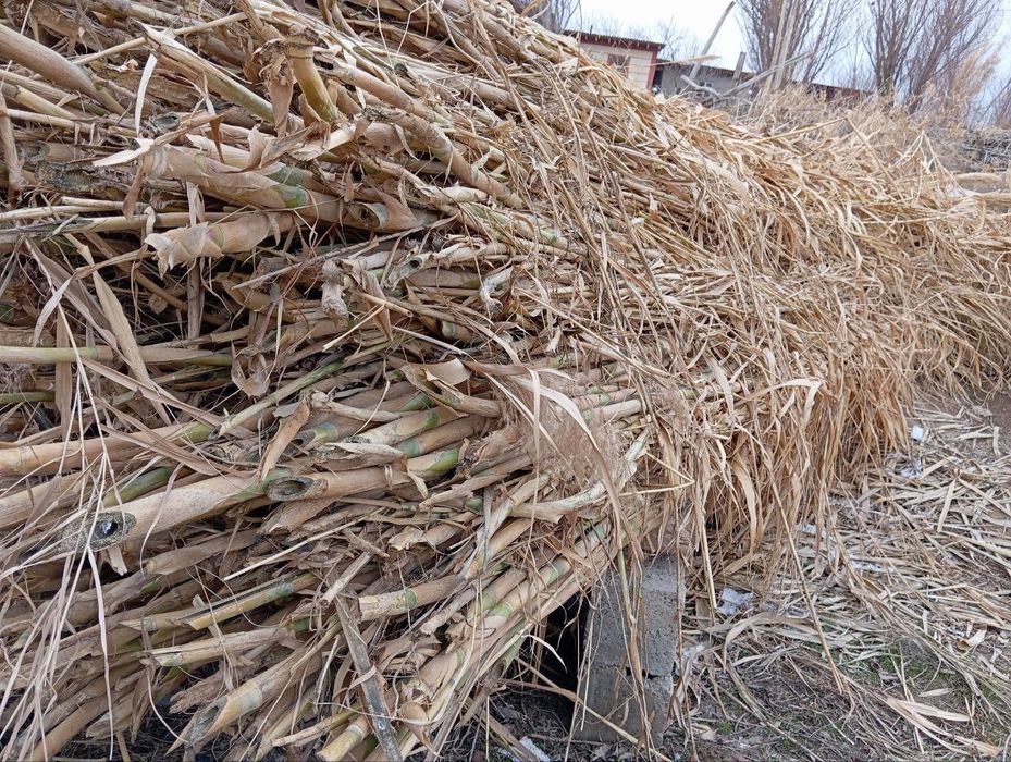 TOMINGIZNI 100-200 yil ISSIQ SOVUQdan himoya qiladi.sifati zòr sinalga