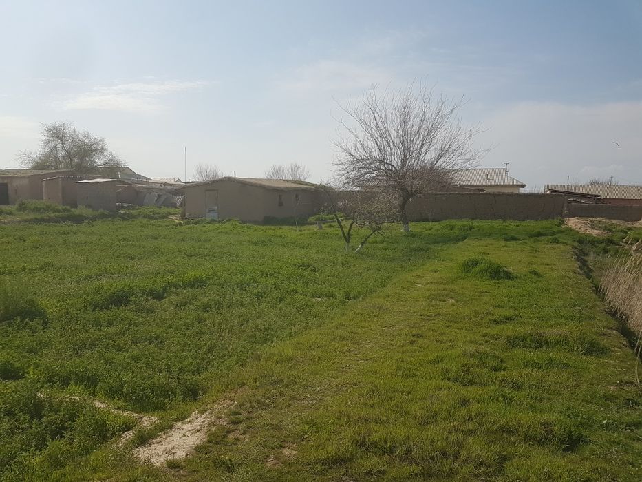 Самарканд вилояти Нуробод тумани Нурбулок ( Х.Олимжон 58 ) Уй жой