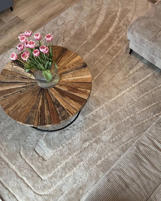 NOU Covor SAZOO, bej, 2/3m