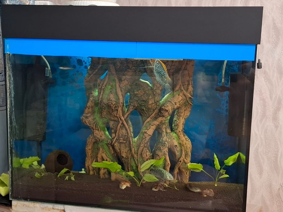 Продам Аквариум на 50л в сборе