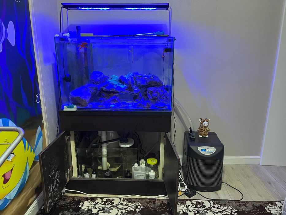 Морской аквариум