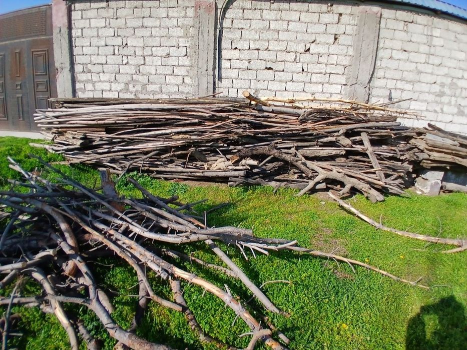 O'tin bor, somsachilar