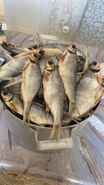 Балық балық сатлымда