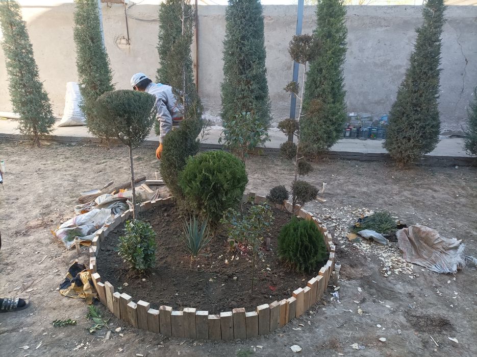 Арча газон гуллар экиш хизмати