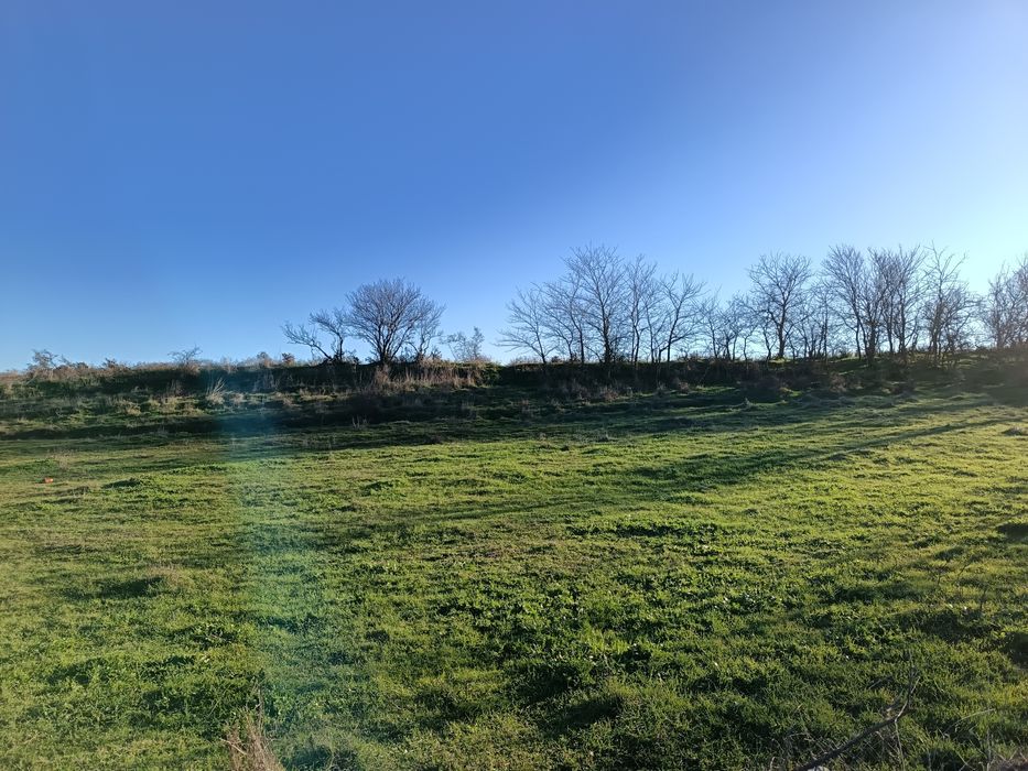 Едноетажна къща с мазе в Княжево