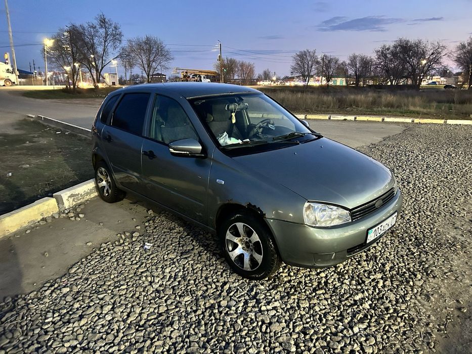 Калина 2009жылғы