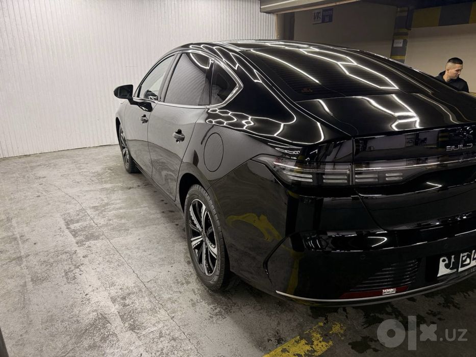 Byd chazor 2024